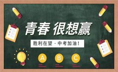 卓越高四教育上海各区初三一模考的成绩和定位 速看